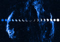 Cyanotype Shirt Solar Eclipse Edition